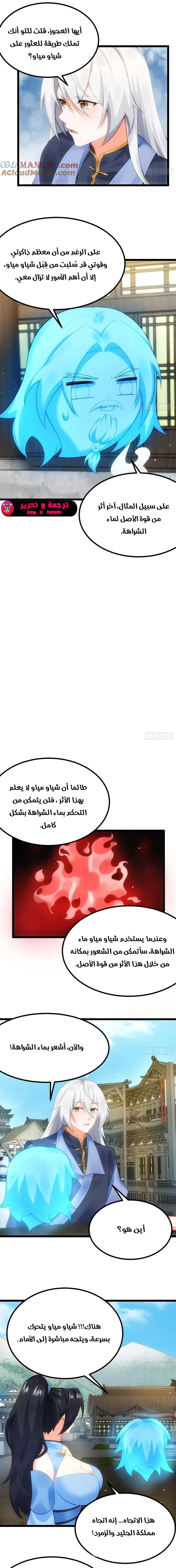 Chapter Image 7