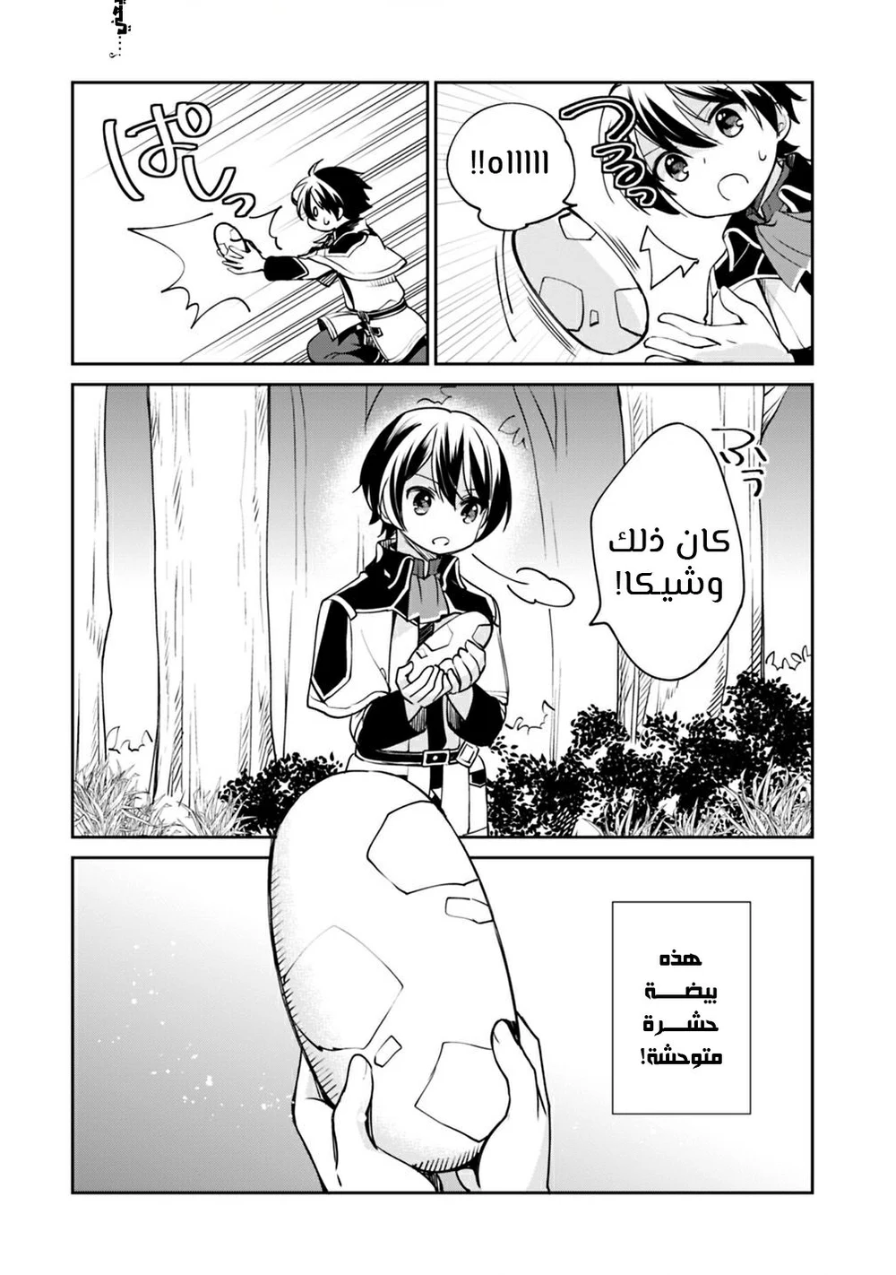 Chapter Image 2