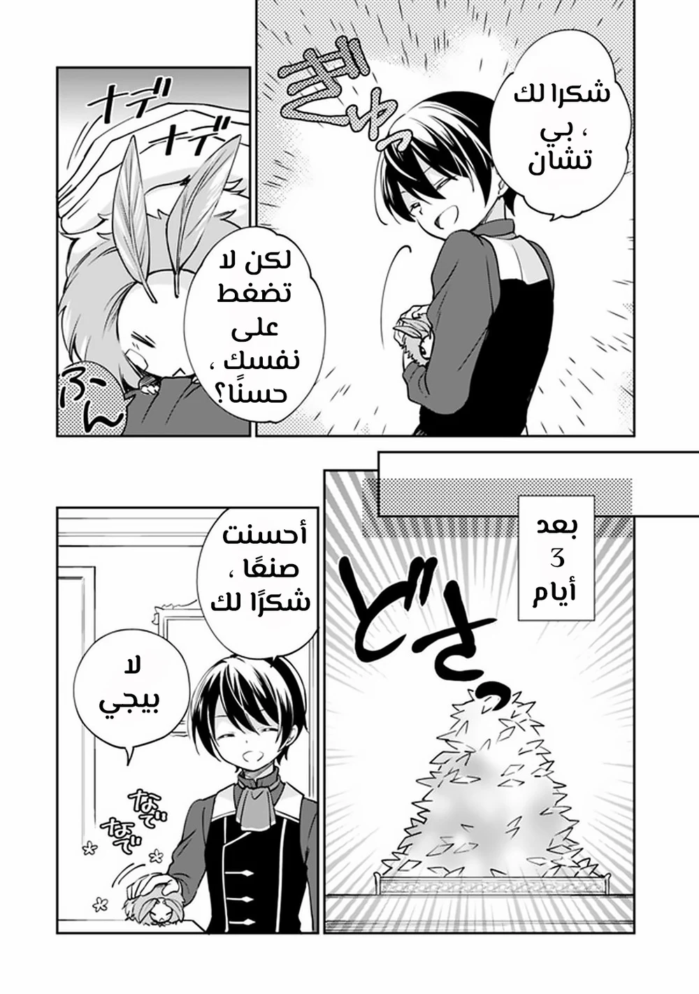 Chapter Image 4