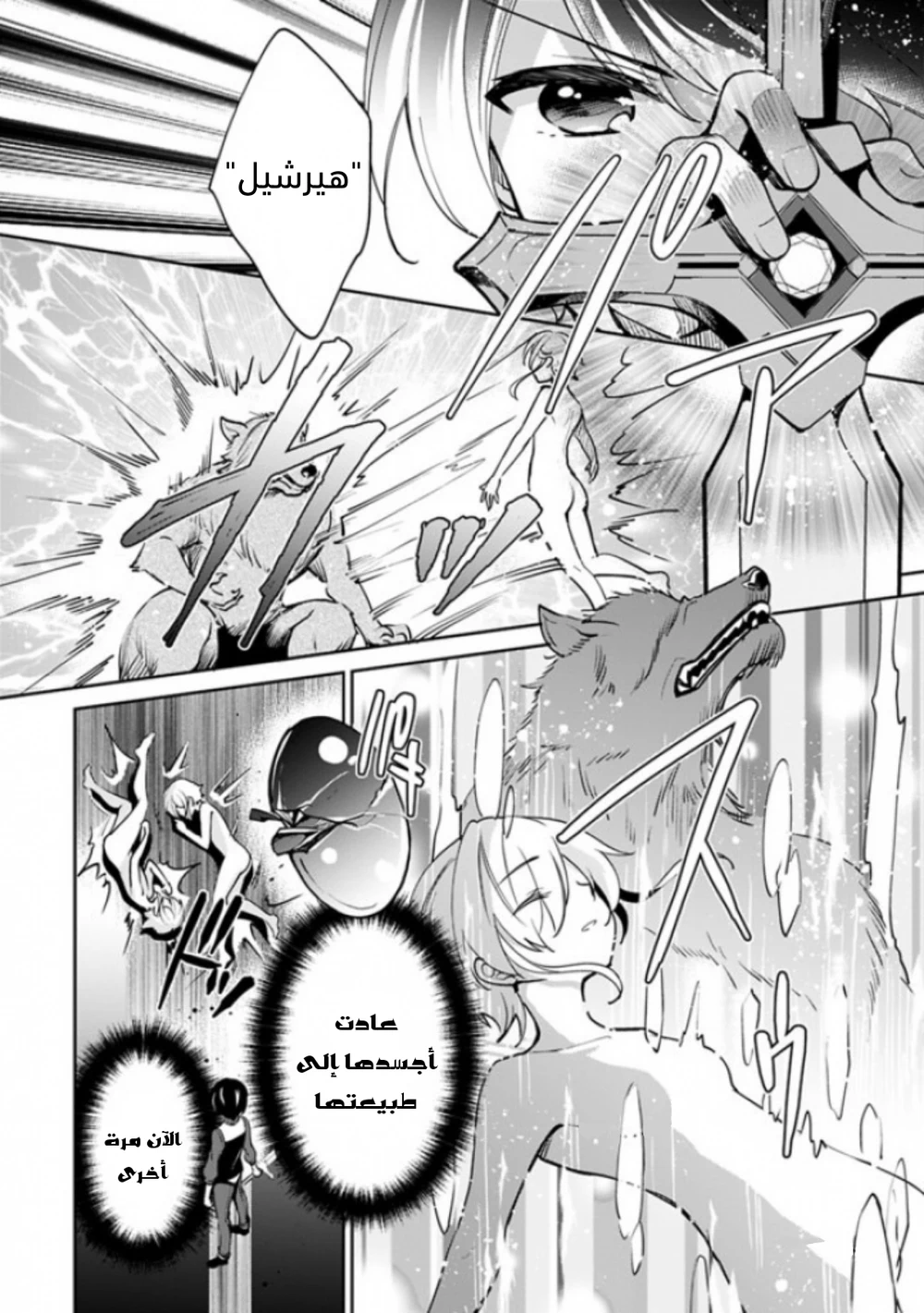Chapter Image 11