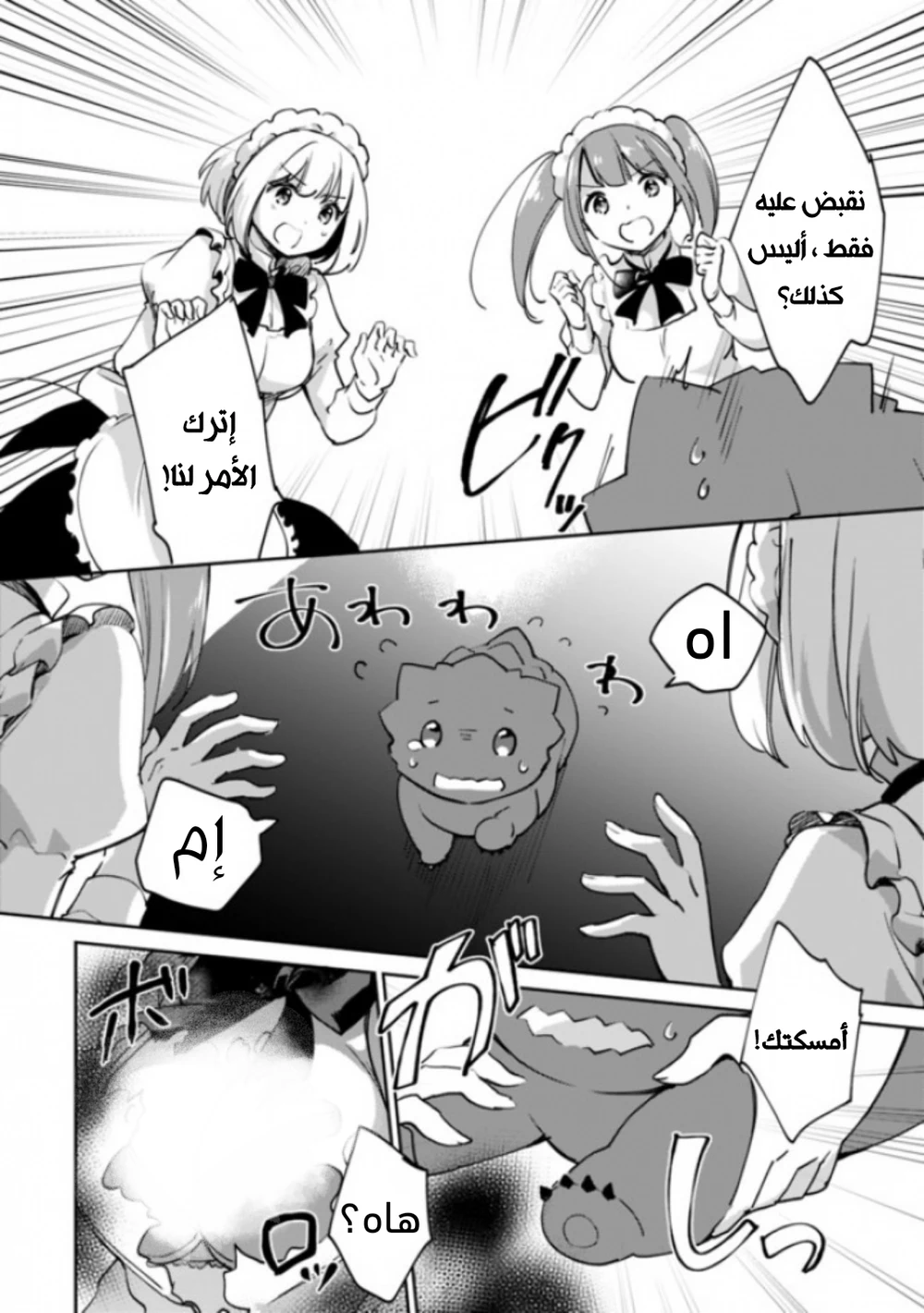 Chapter Image 5