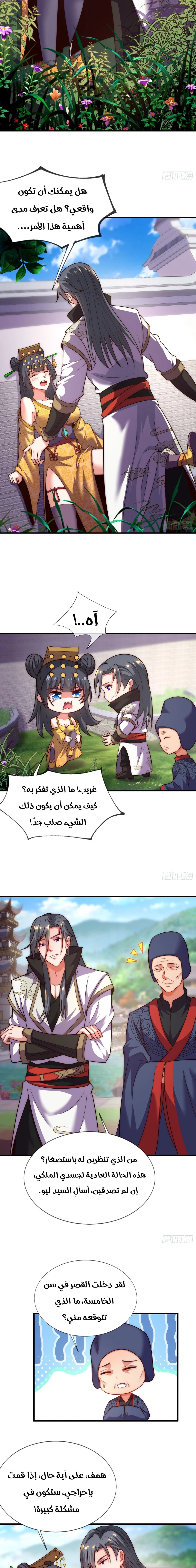 Chapter Image 5