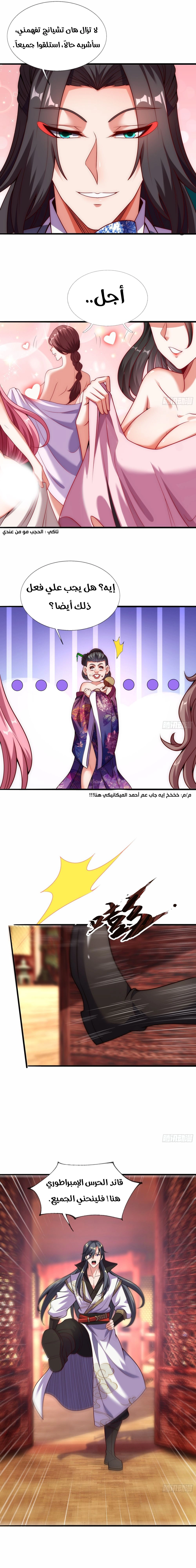 Chapter Image 4