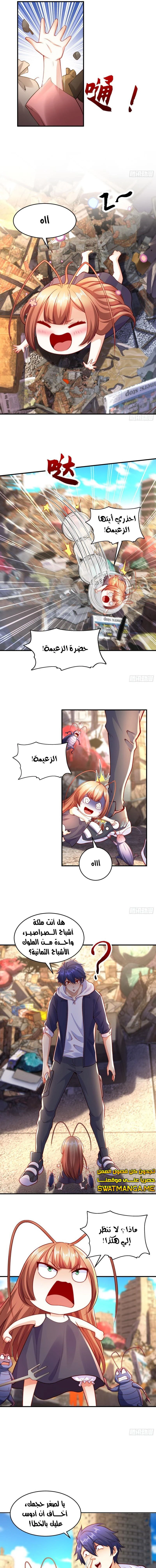 Chapter Image 5