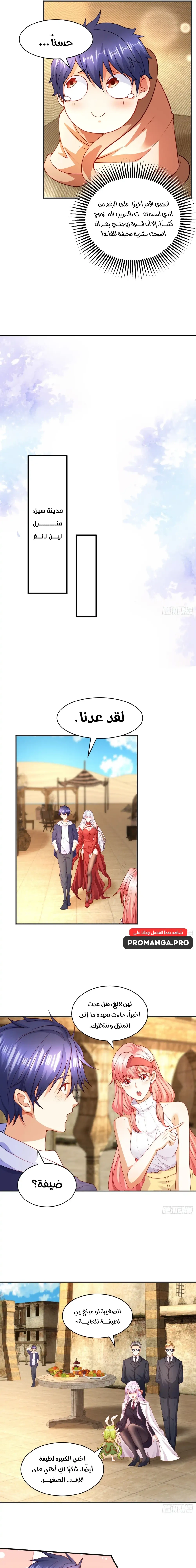 Chapter Image 15