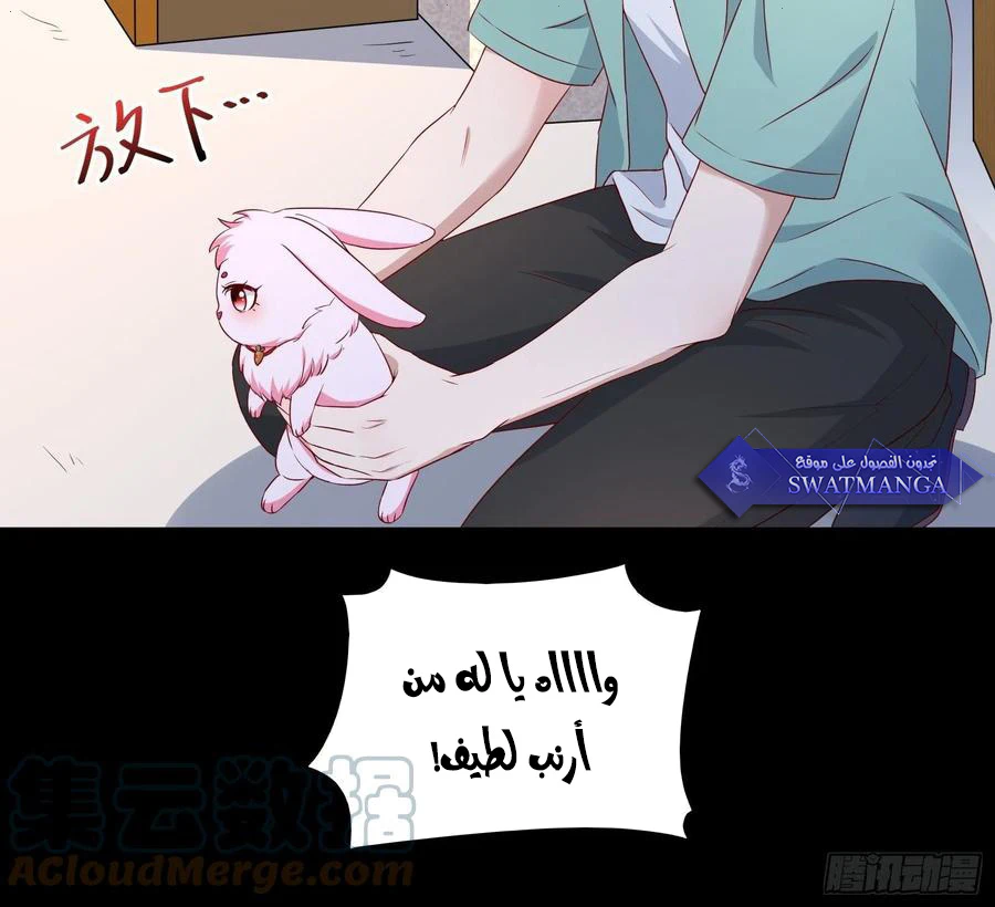 Chapter Image 14