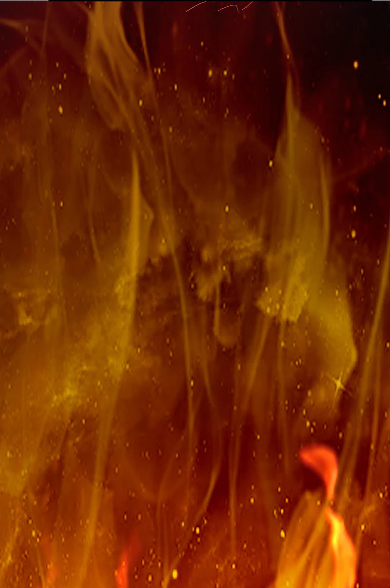Chapter Image 8
