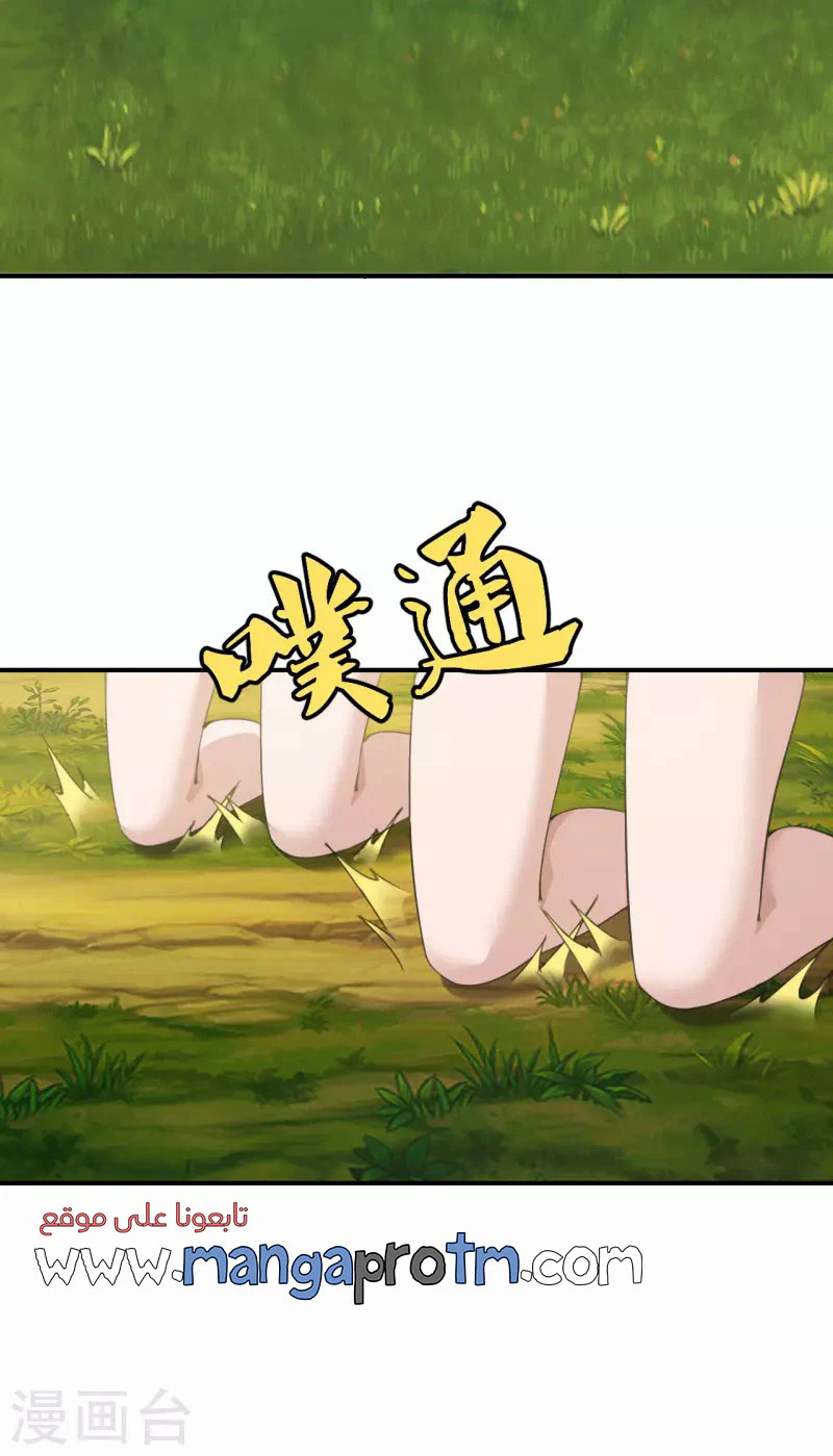 Chapter Image 5