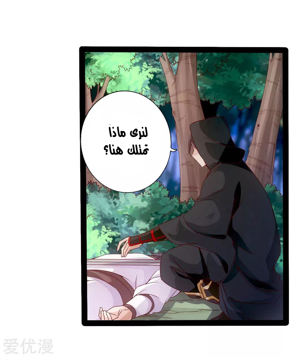 Chapter Image 3