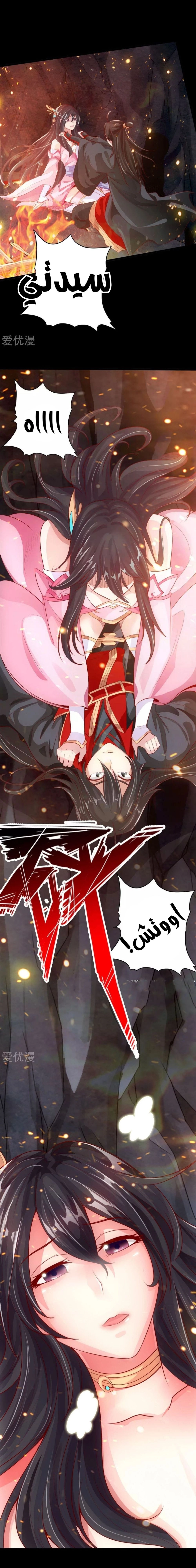 Chapter Image 5