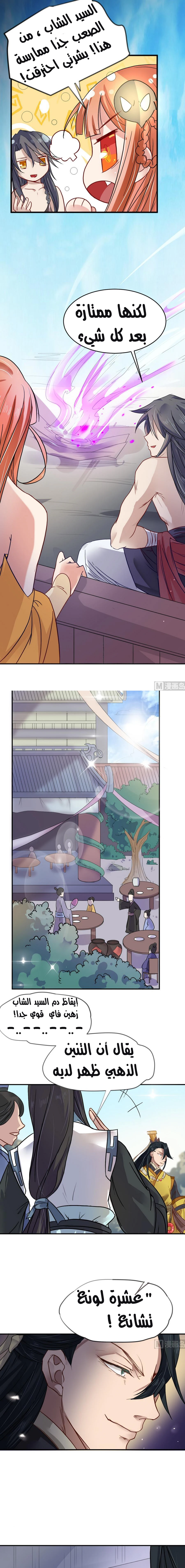 Chapter Image 3