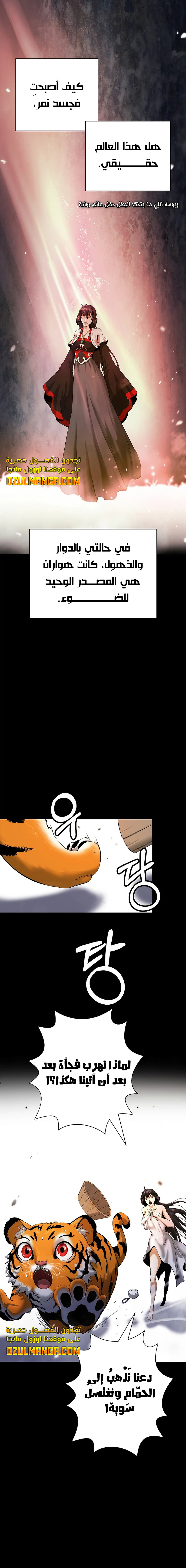 Chapter Image 13