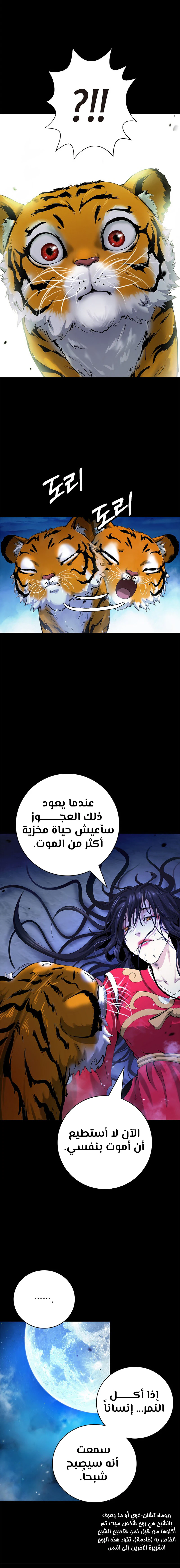Chapter Image 13