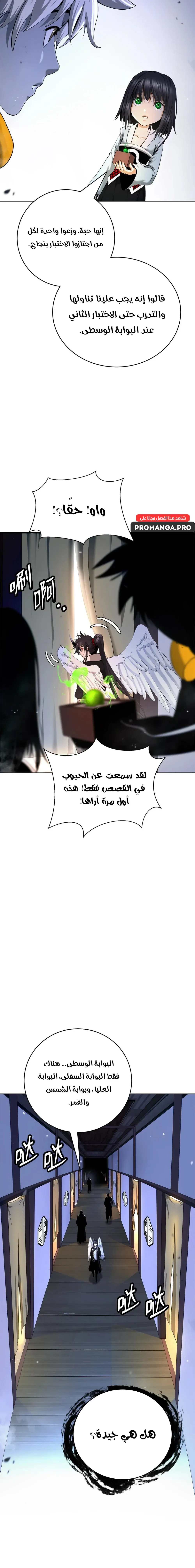 Chapter Image 6