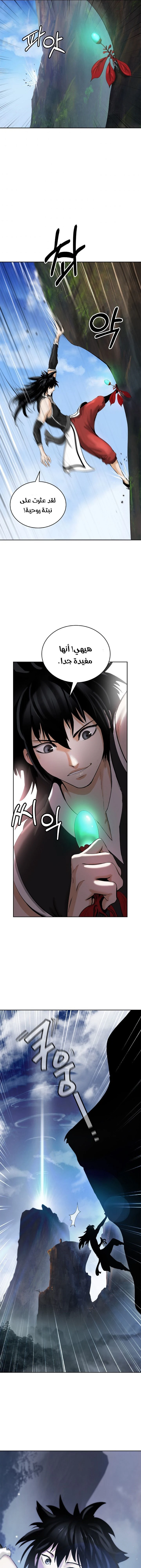 Chapter Image 4