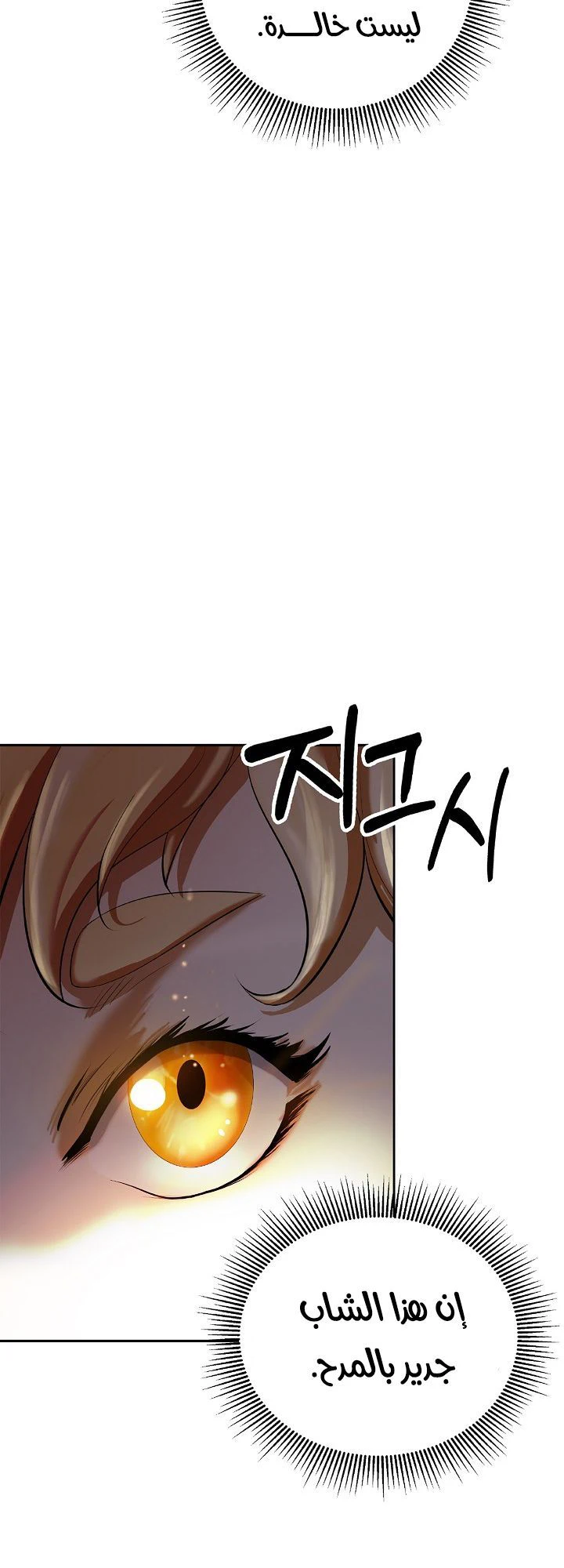 Chapter Image 15
