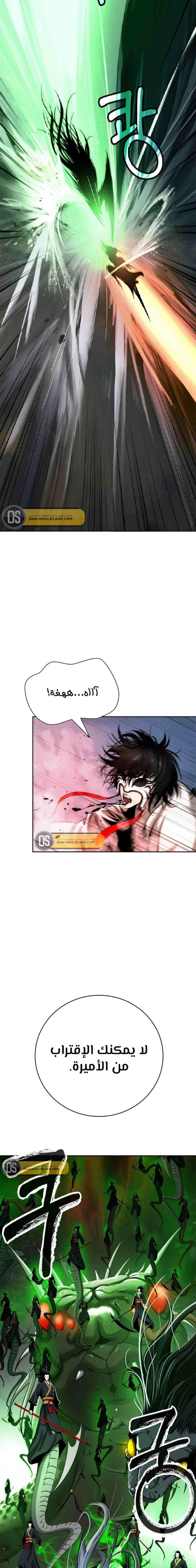Chapter Image 13