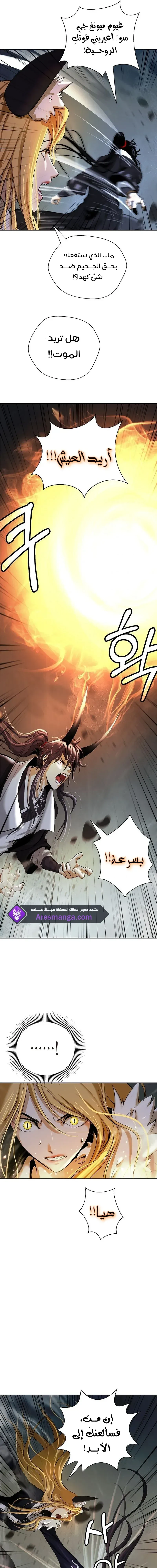 Chapter Image 24