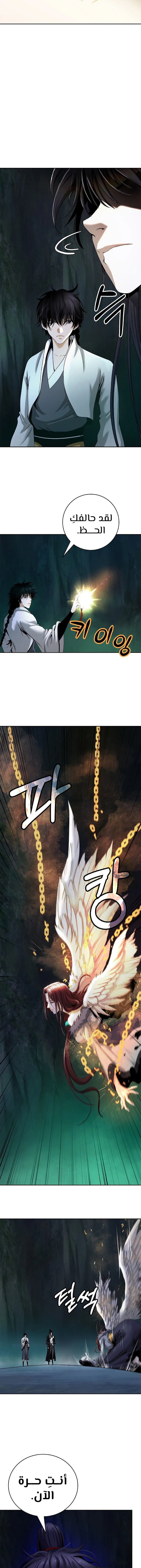 Chapter Image 15