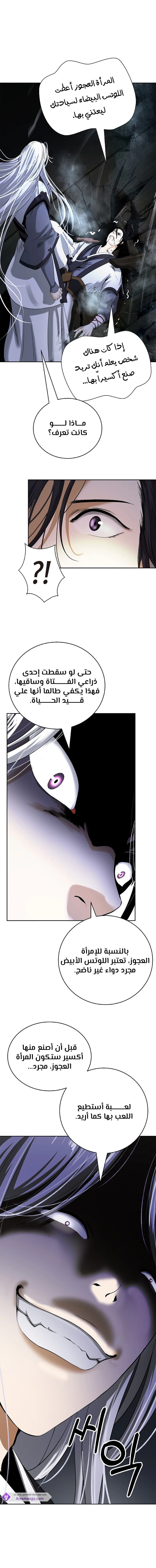 Chapter Image 28