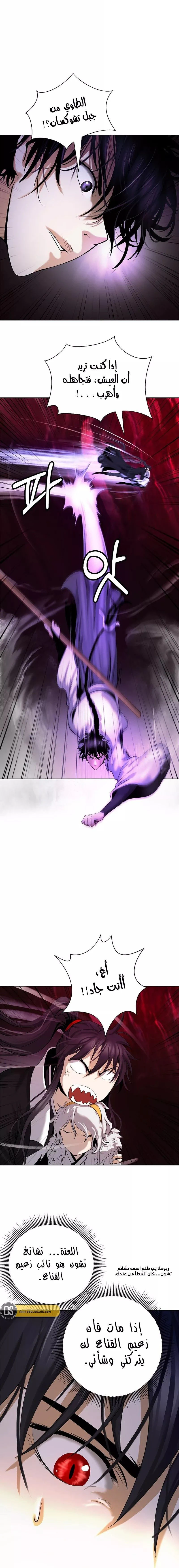 Chapter Image 11