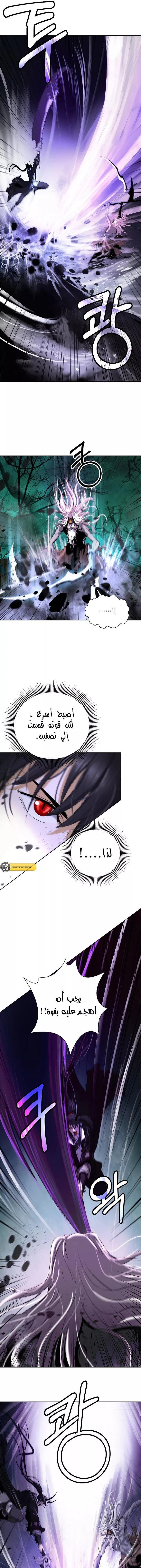Chapter Image 12