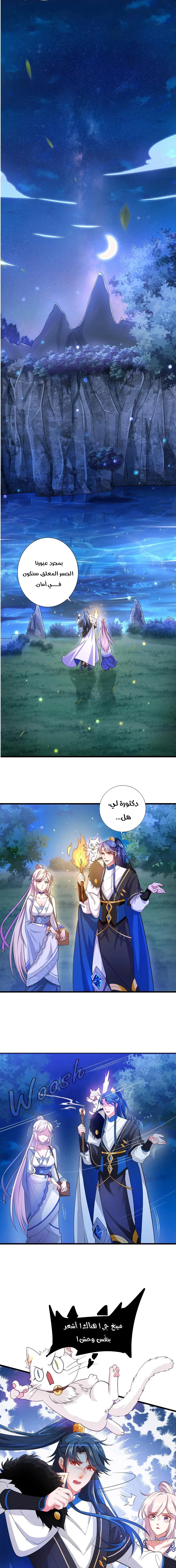Chapter Image 3