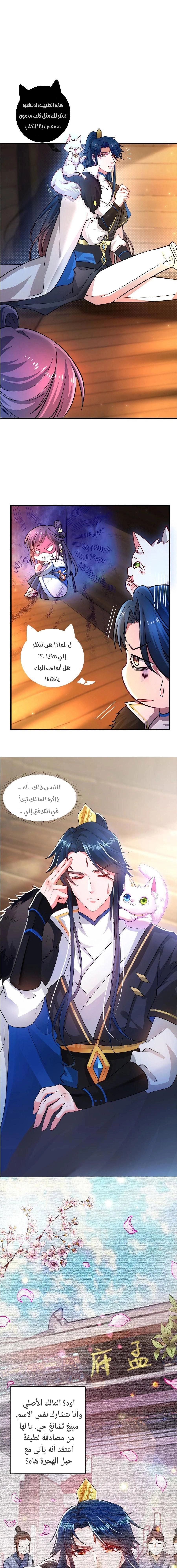 Chapter Image 5
