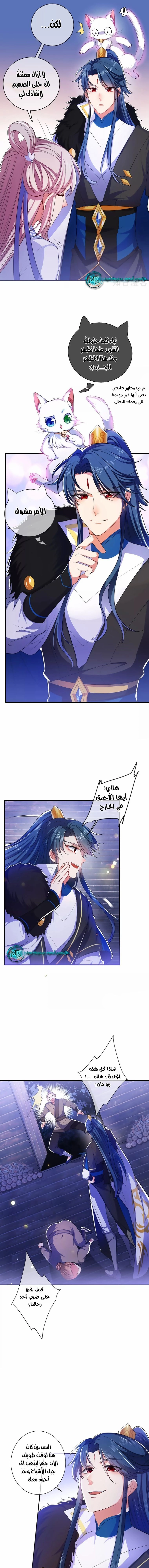 Chapter Image 3