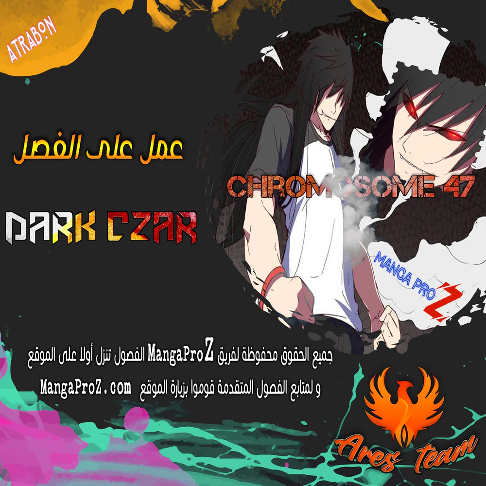 Chapter Image 1