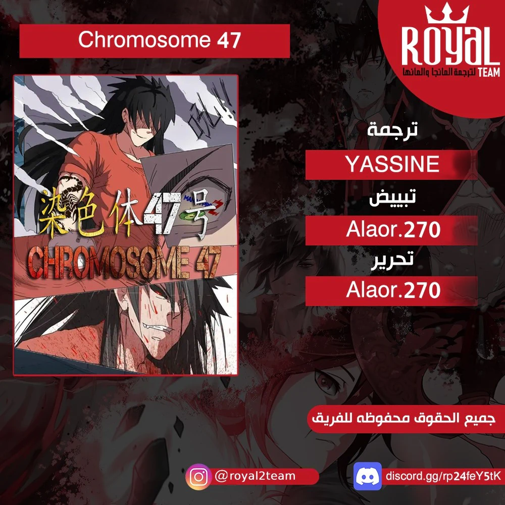 Chapter Image 1