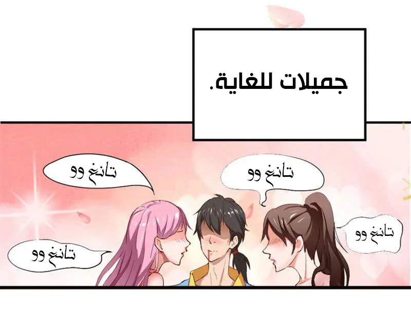 Chapter Image 4