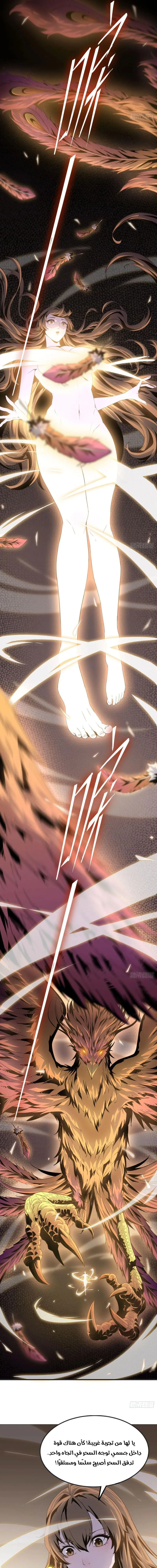 Chapter Image 9