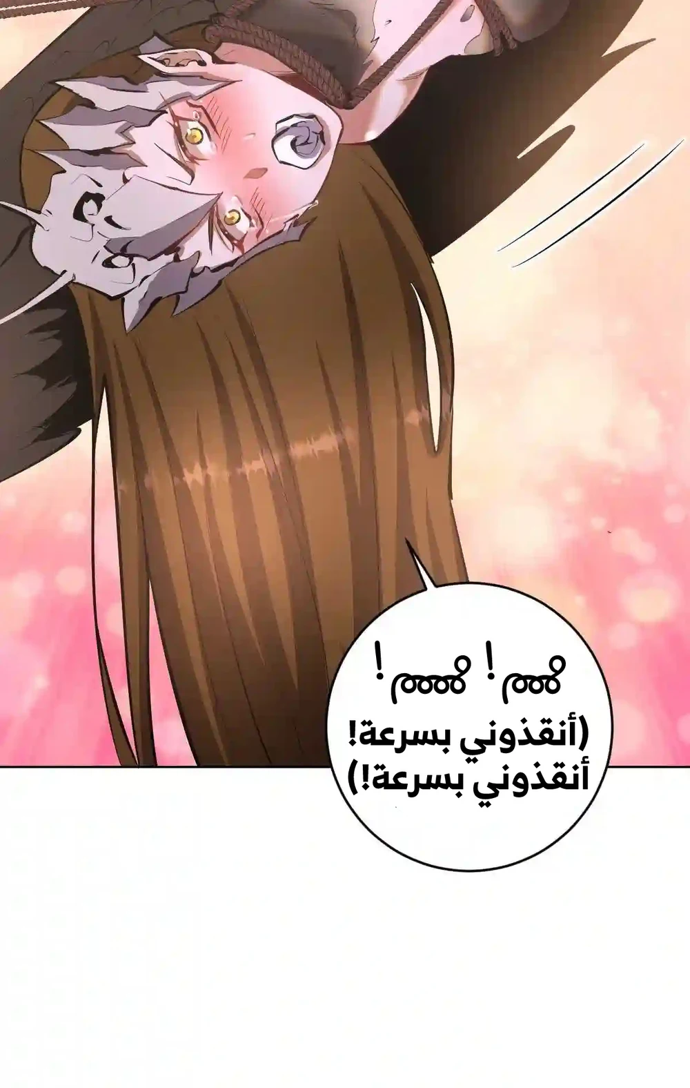 Chapter Image 19