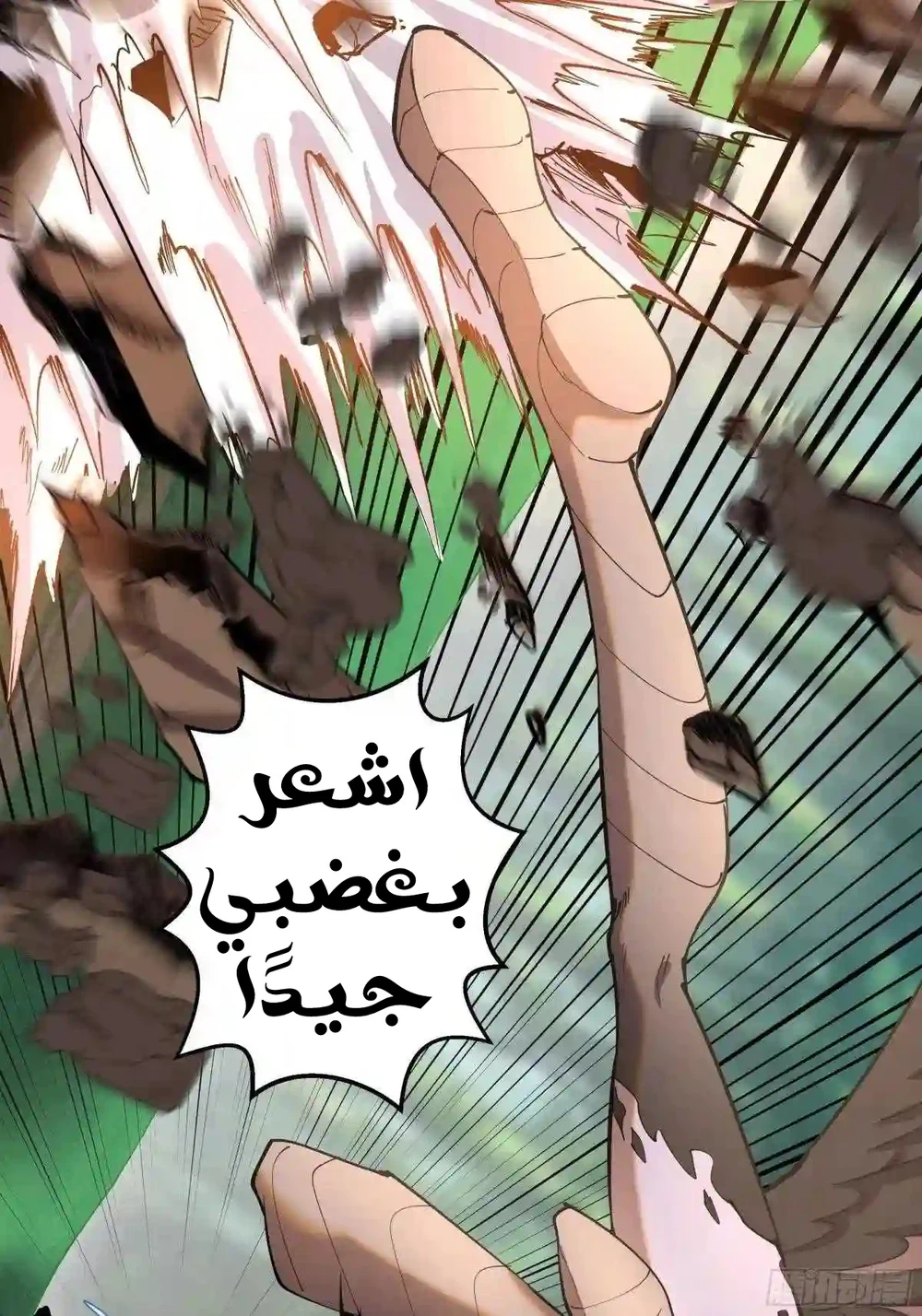 Chapter Image 4