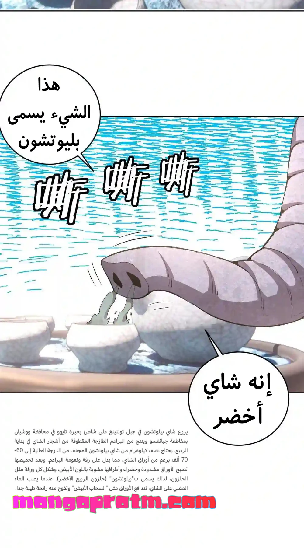 Chapter Image 11