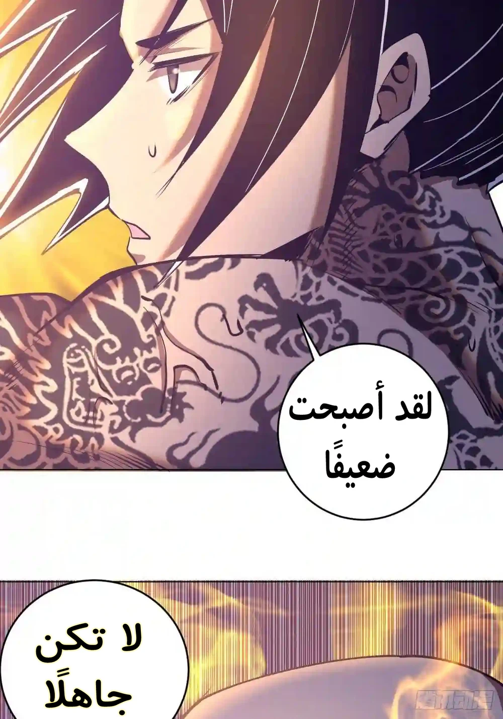 Chapter Image 13