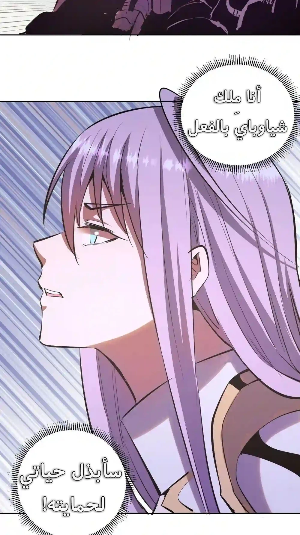 Chapter Image 13