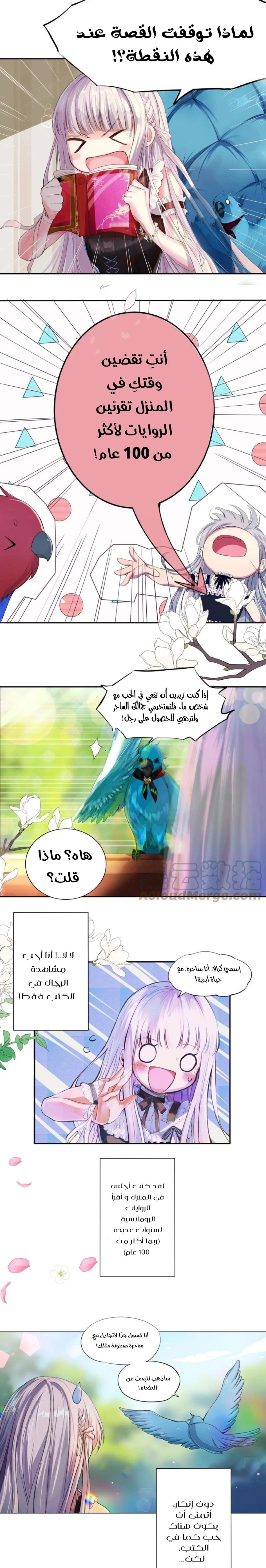 Chapter Image 3