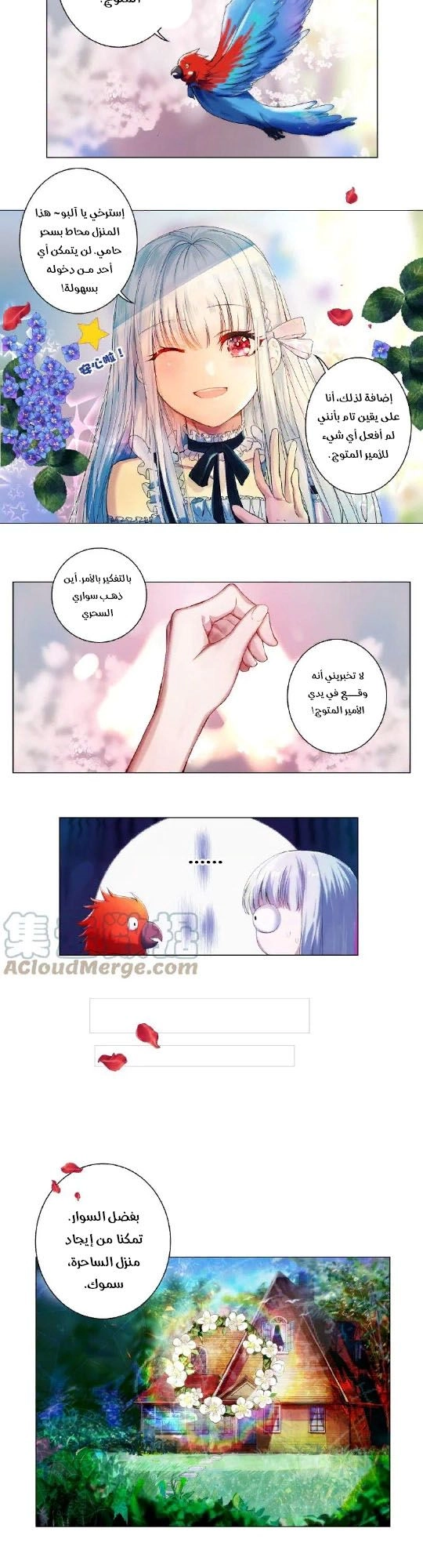 Chapter Image 3