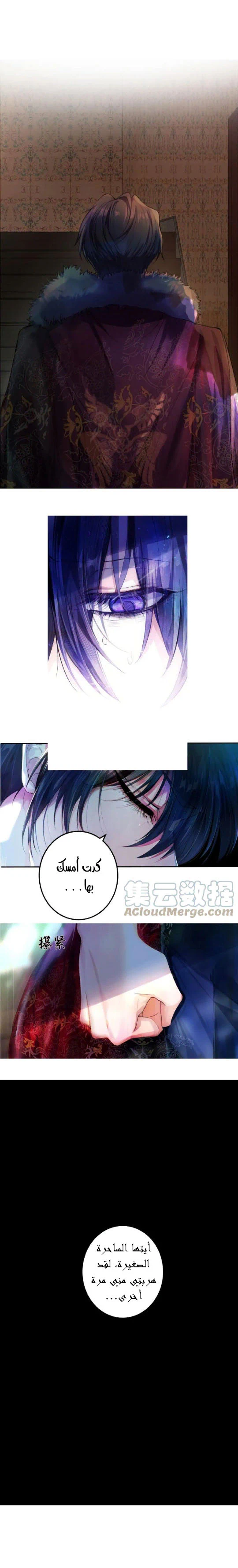 Chapter Image 5
