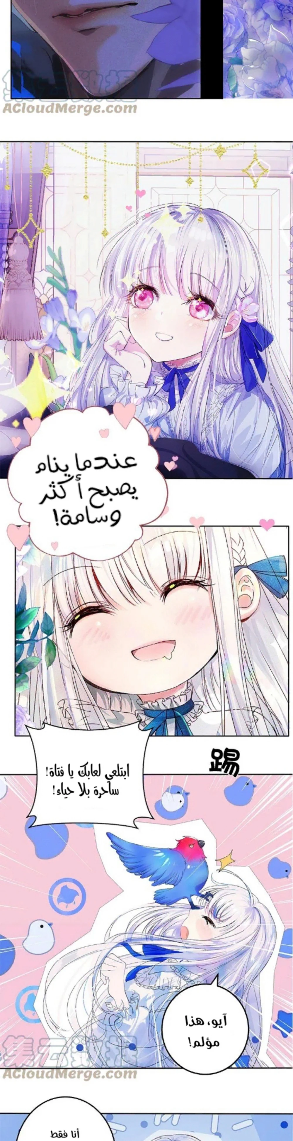 Chapter Image 4