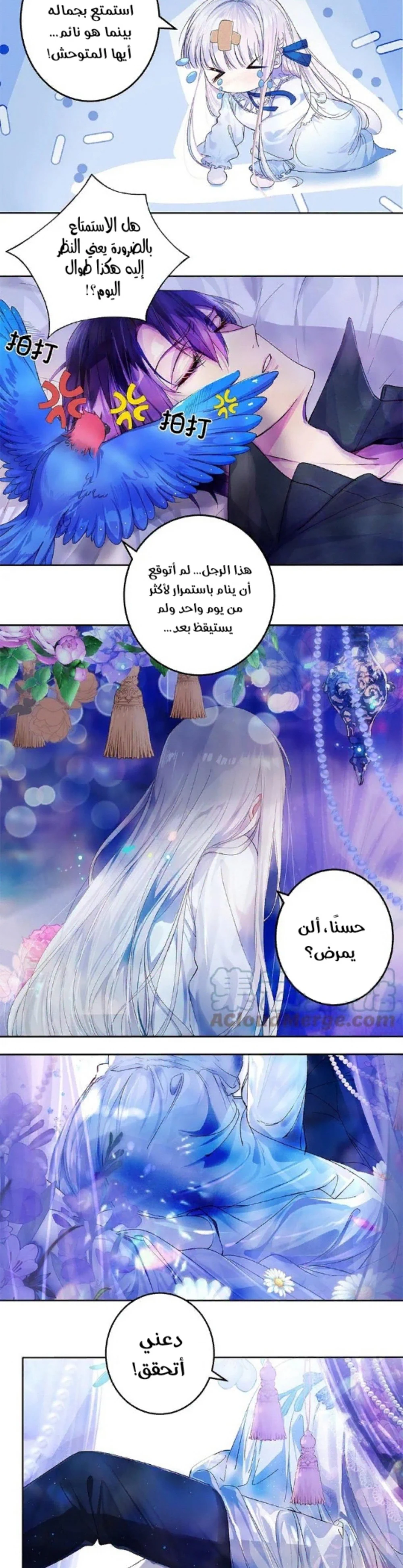 Chapter Image 5
