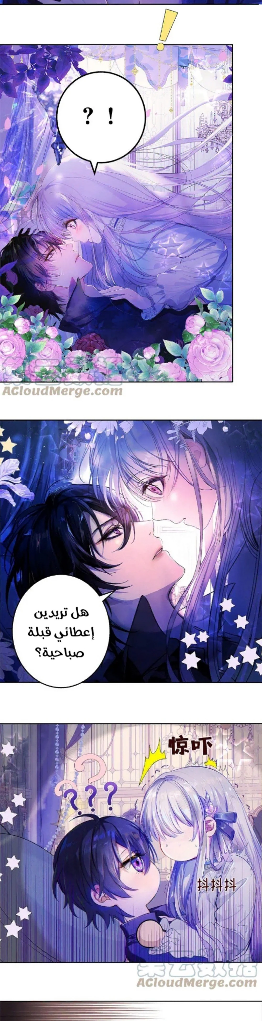 Chapter Image 7