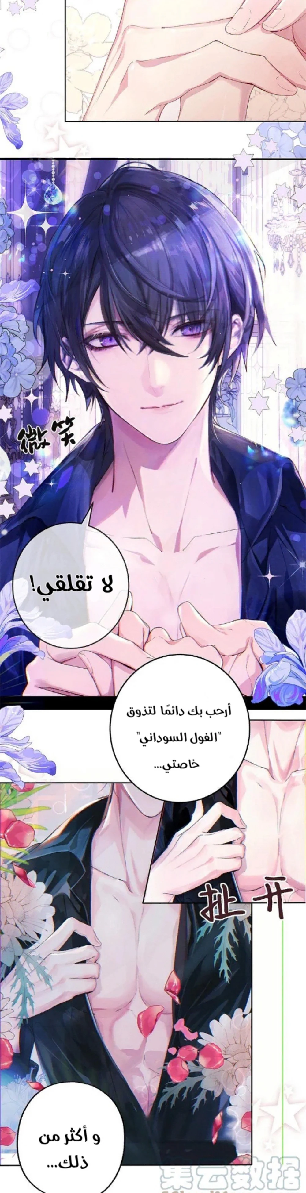 Chapter Image 9