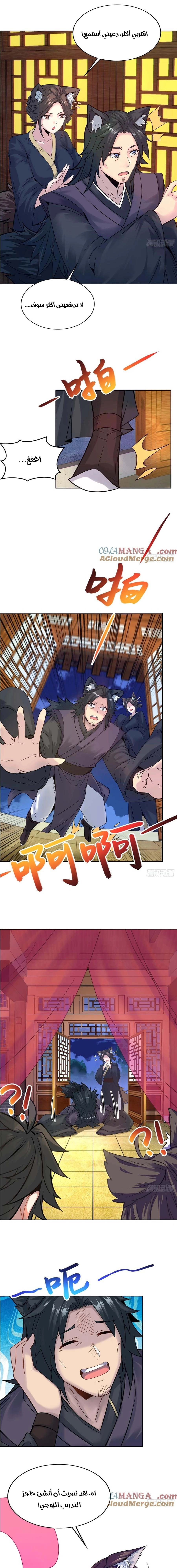 Chapter Image 5