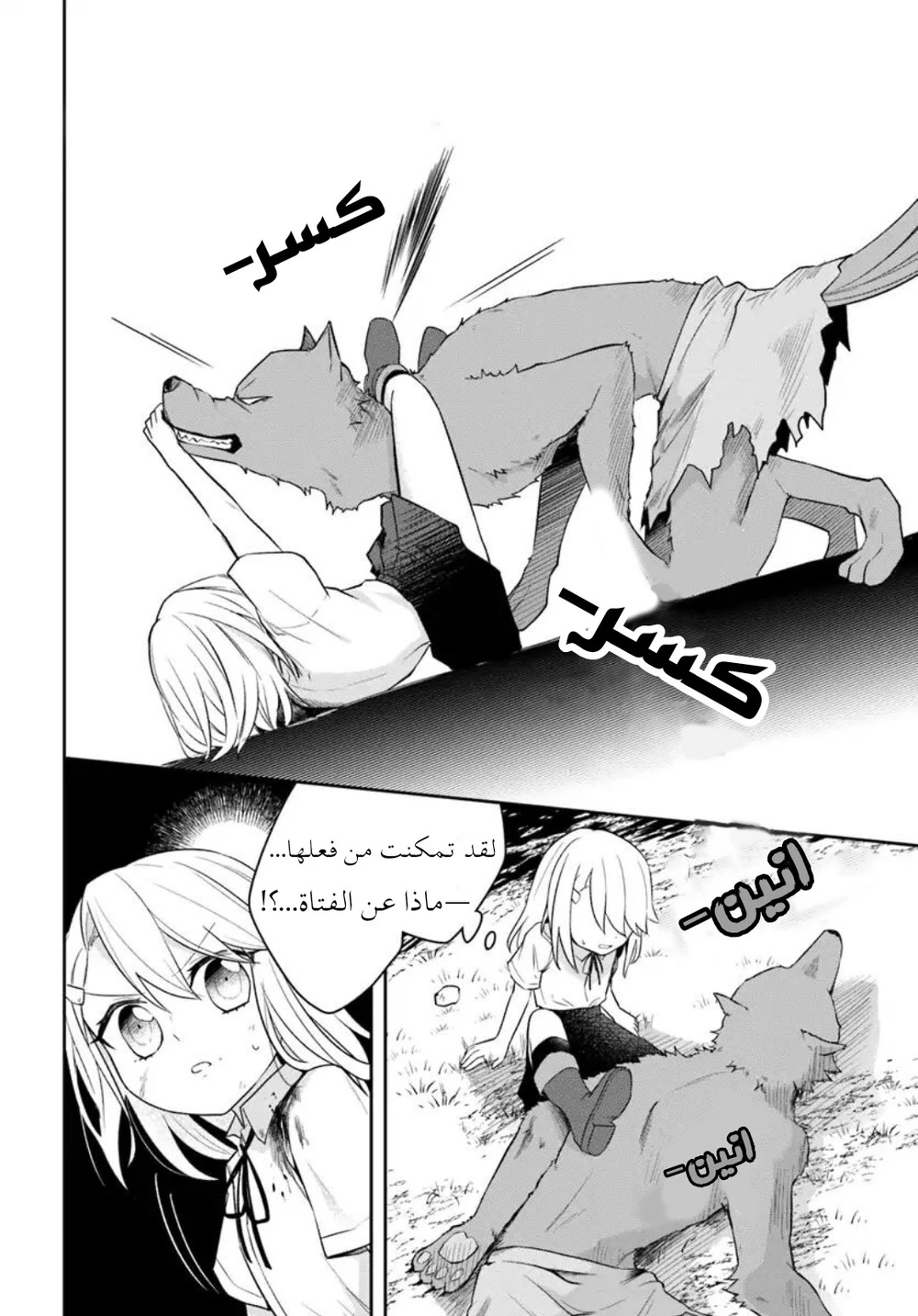 Chapter Image 5