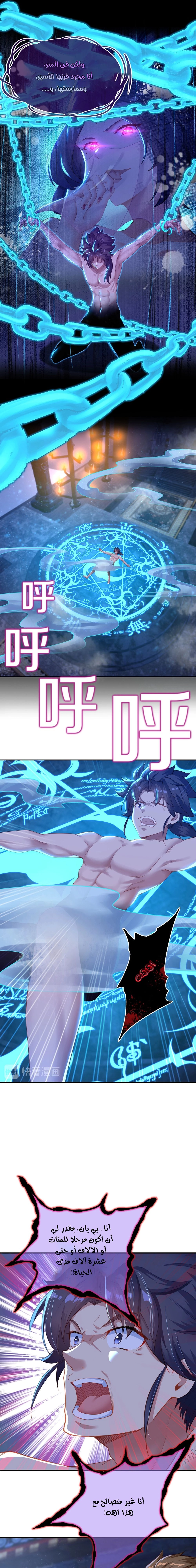 Chapter Image 4