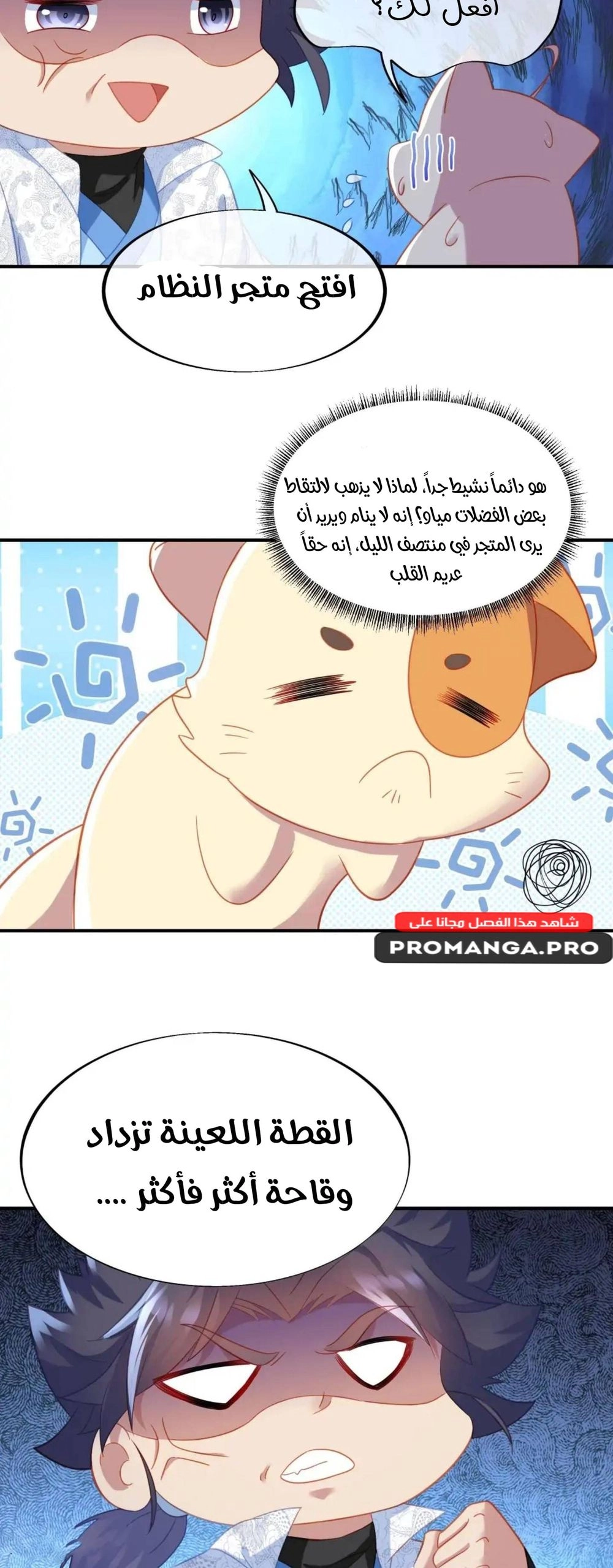 Chapter Image 7