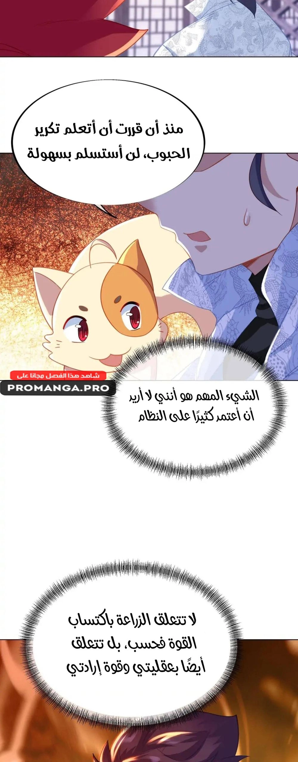Chapter Image 11
